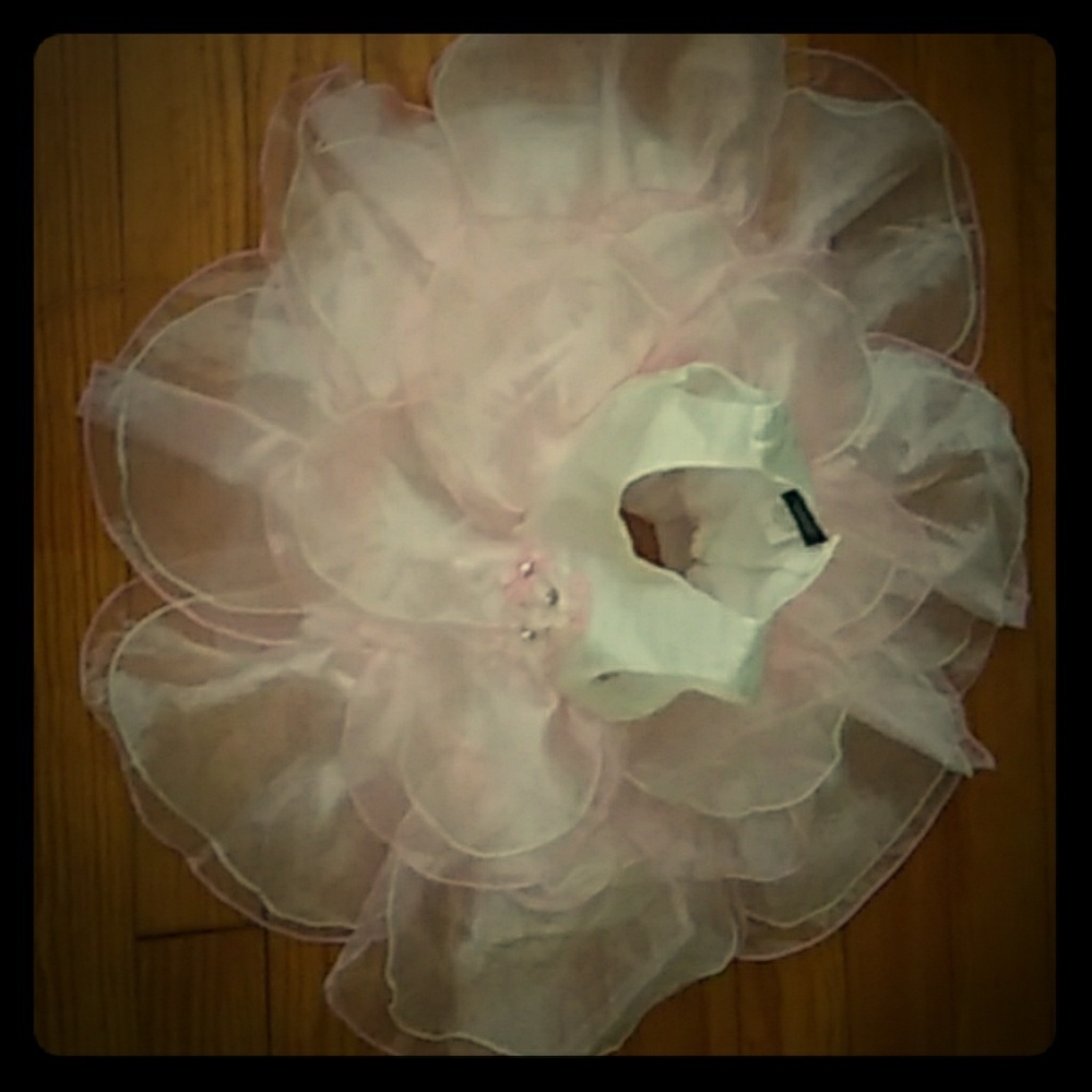 2T flower girl dress.